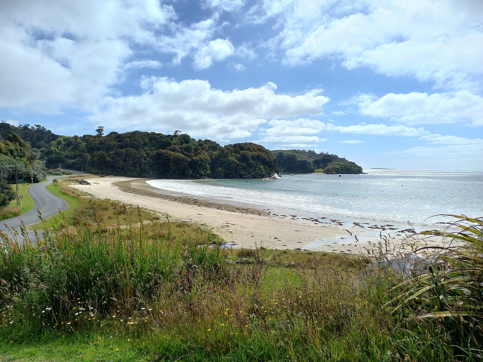 Strand in Steward Island mit Wald und Wiese