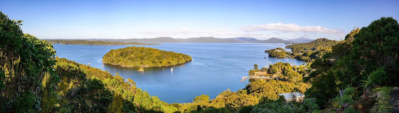 bewaldete Küstenlandschaft mit Insel